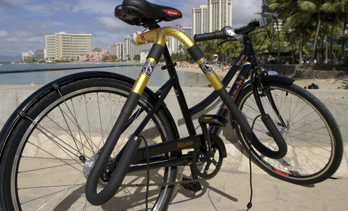 Carver Bicycle Short Surf Rack