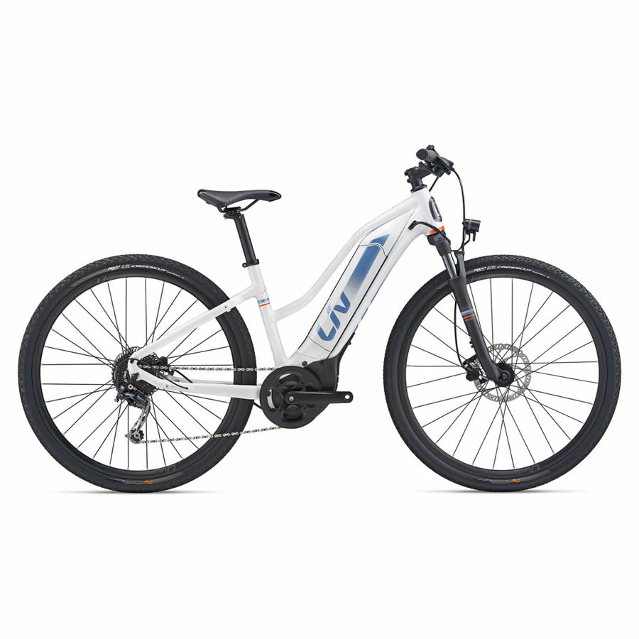 electric assisted bike