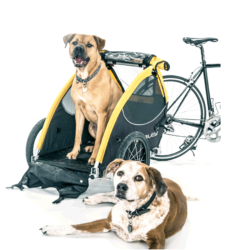 bike pet trailers burley