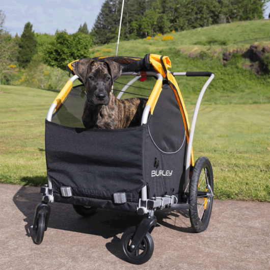 dog trailersfor e-bikes