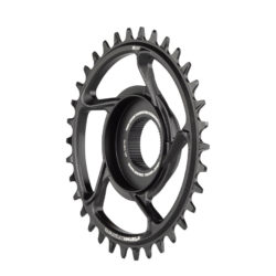 e*thirteen chainring