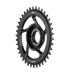 e*thirteen chainring