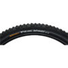 trail king ebike tire