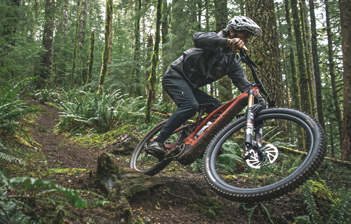 specialized levo G3